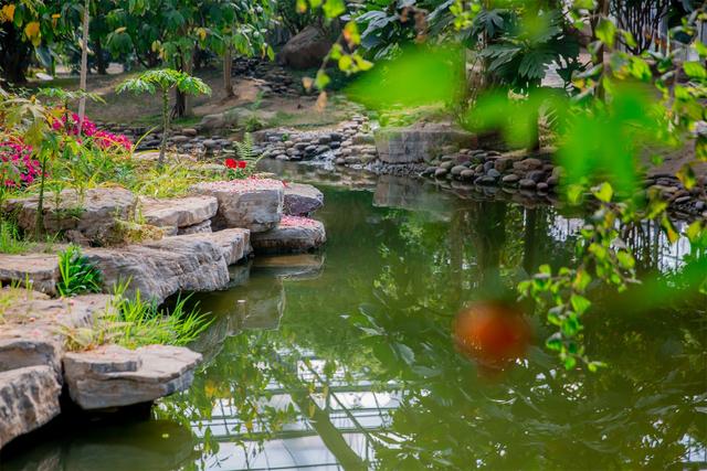 ������ֲ��԰���������߽�����԰������