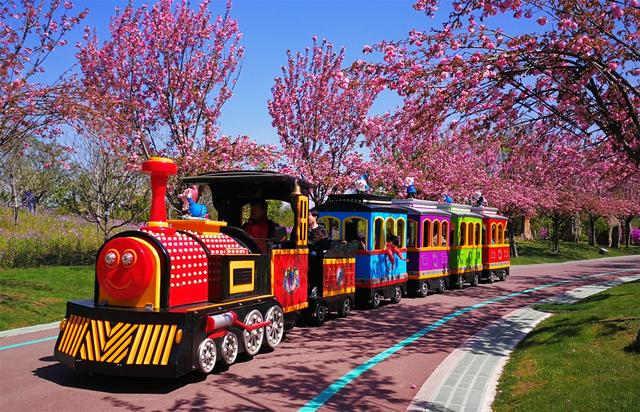 “土豪植物园”,带你走进奇妙园艺世界