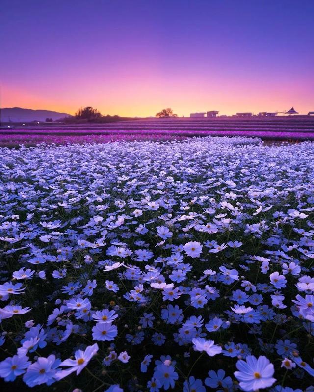 ��������ĳ�������֪����Щ�羰��ԭ����ô��