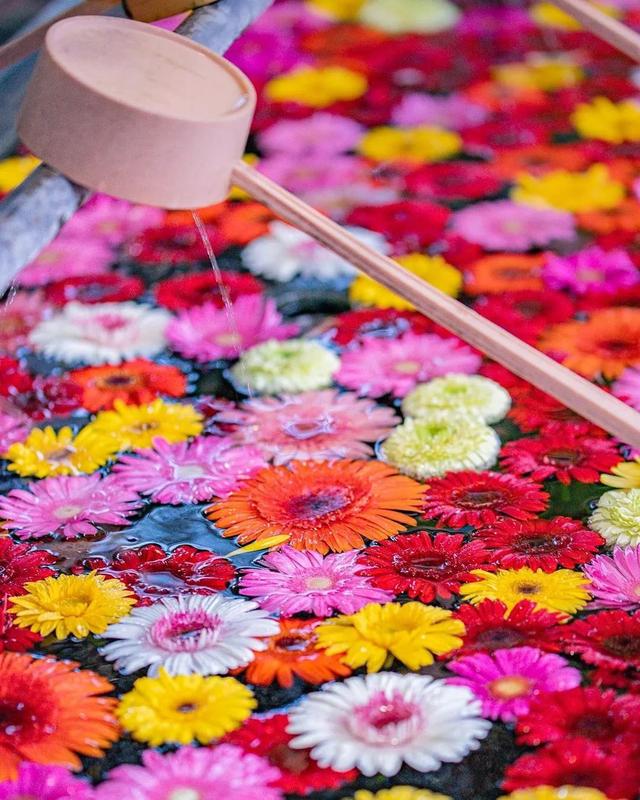 ��������ĳ�������֪����Щ�羰��ԭ����ô��