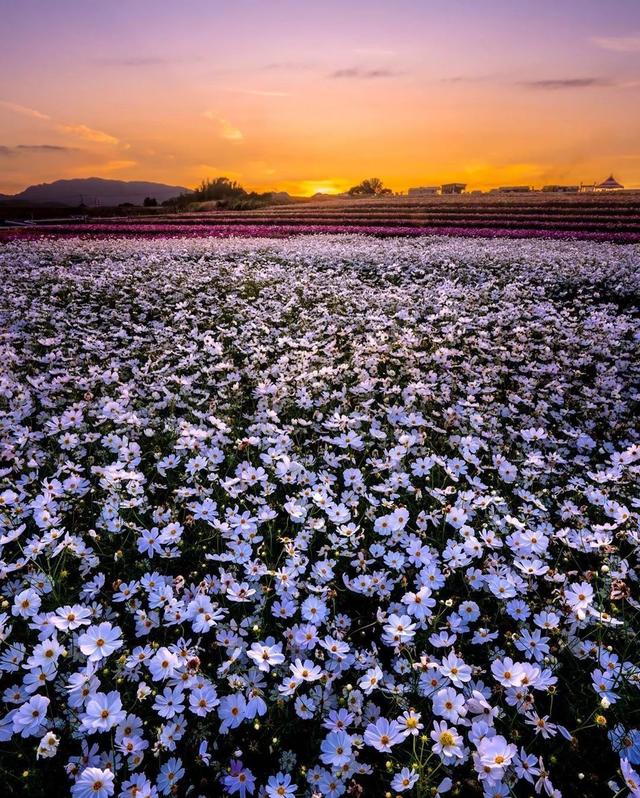 ��������ĳ�������֪����Щ�羰��ԭ����ô��