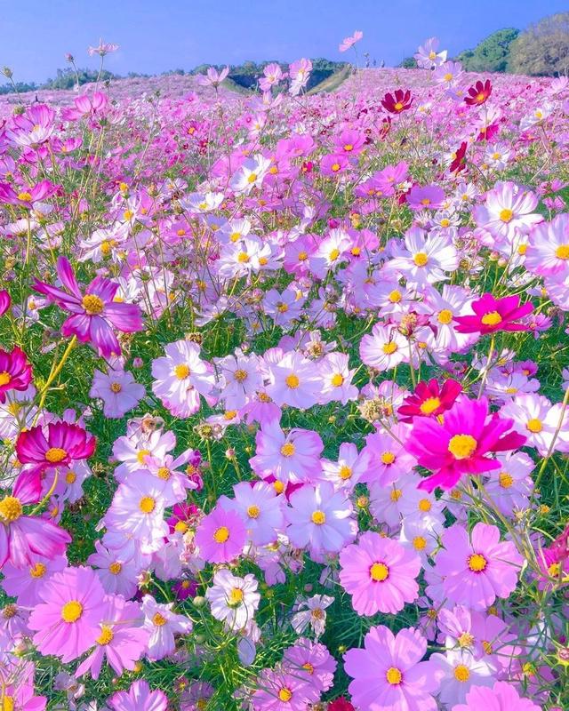 ��������ĳ�������֪����Щ�羰��ԭ����ô��