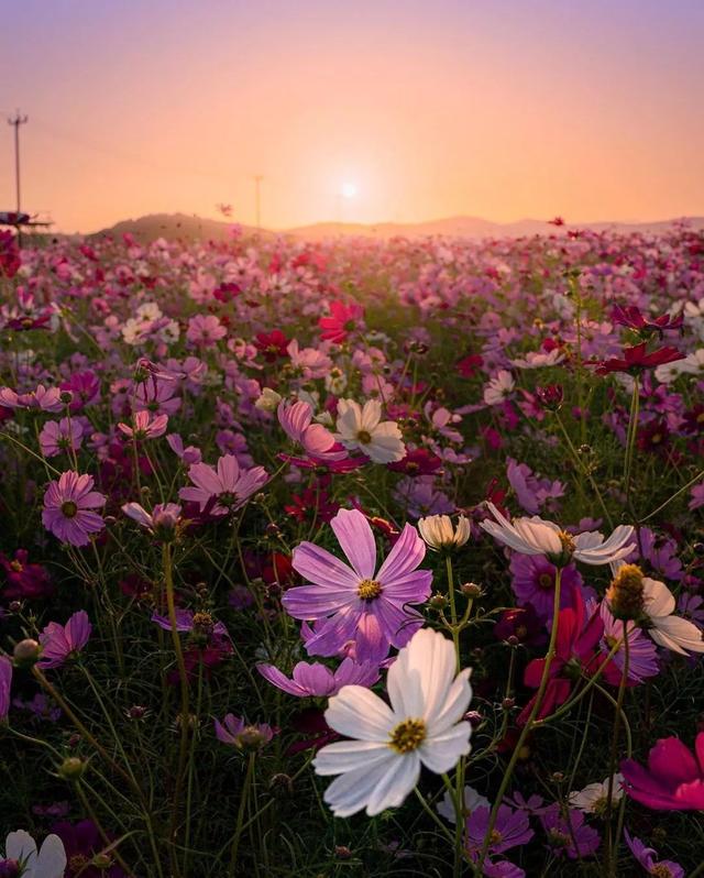 ��������ĳ�������֪����Щ�羰��ԭ����ô��