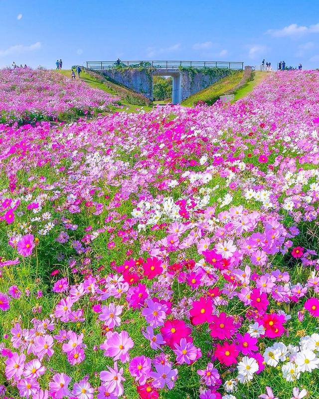 ��������ĳ�������֪����Щ�羰��ԭ����ô��