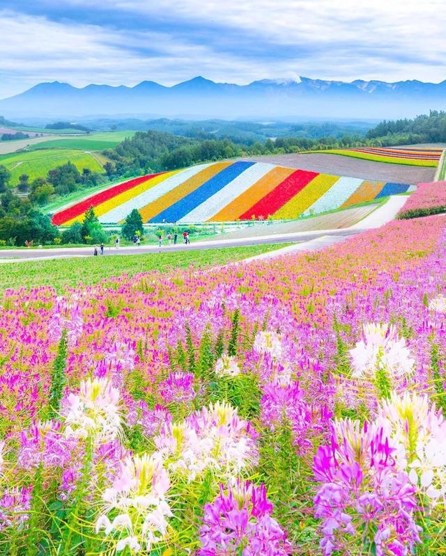 ��������ĳ�������֪����Щ�羰��ԭ����ô��