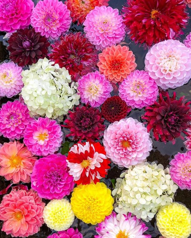 ��������ĳ�������֪����Щ�羰��ԭ����ô��