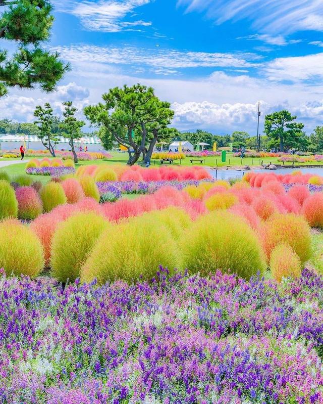 ��������ĳ�������֪����Щ�羰��ԭ����ô��