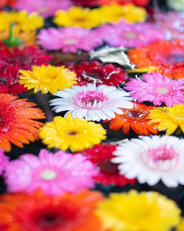 ��������ĳ�������֪����Щ�羰��ԭ����ô��