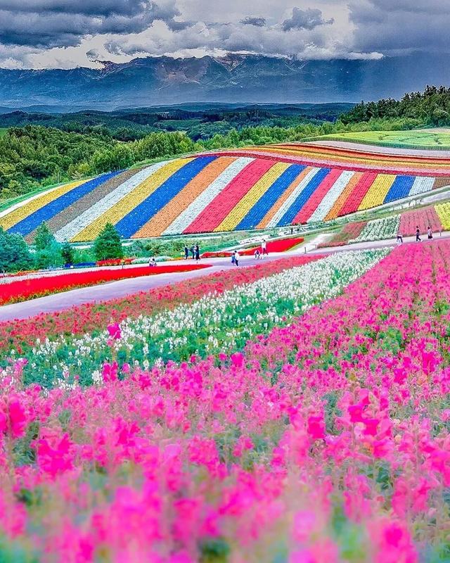 ��������ĳ�������֪����Щ�羰��ԭ����ô��