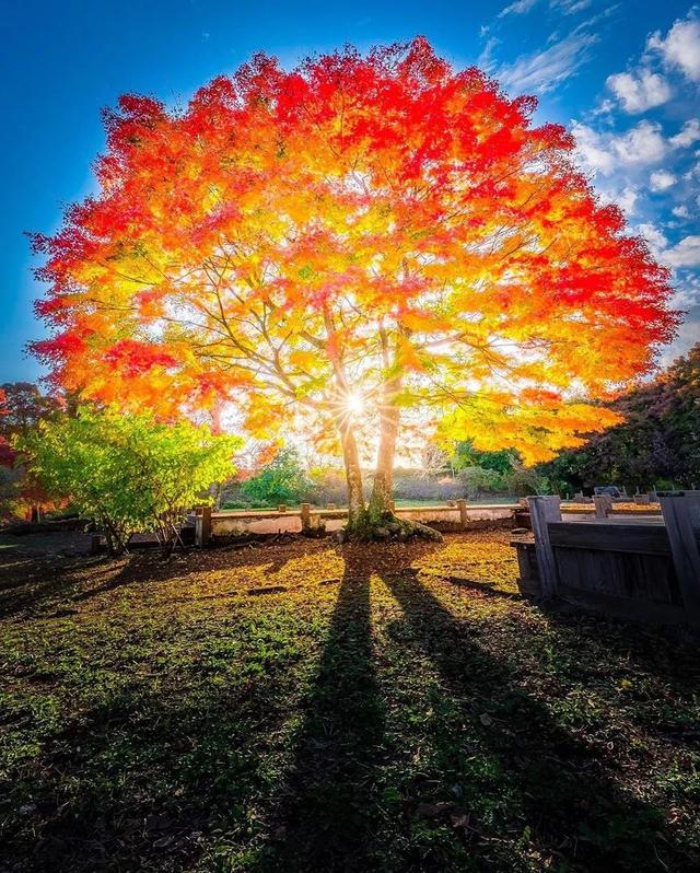 ��������ĳ�������֪����Щ�羰��ԭ����ô��