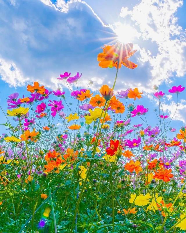 ��������ĳ�������֪����Щ�羰��ԭ����ô��