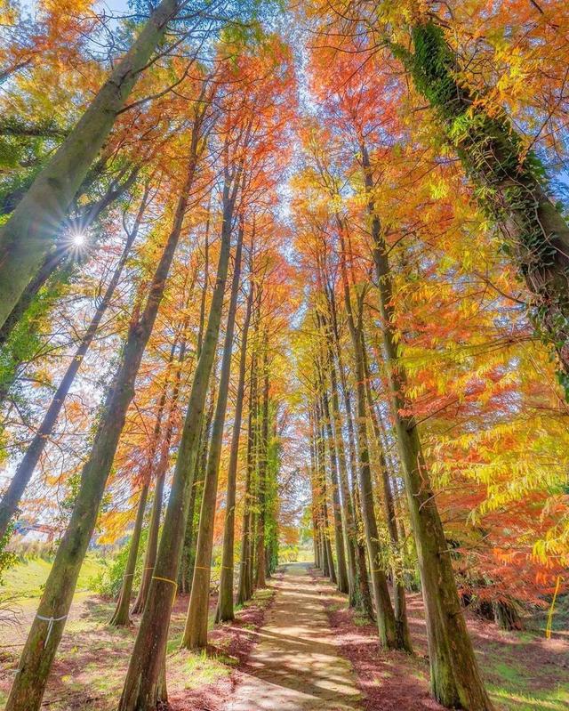 ��������ĳ�������֪����Щ�羰��ԭ����ô��