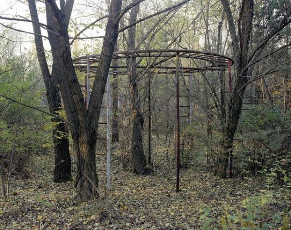 切尔诺贝利禁区内的世界:人类撤退 自然再现