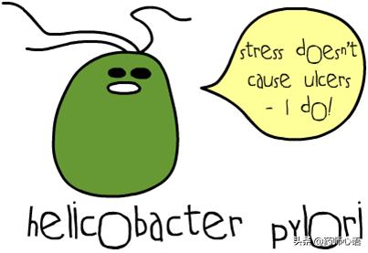 ���������˾���Ⱦ��Ӫ��Ӧ��