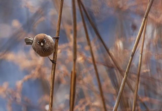 ��Щ��Ӱʦ�����������涯�Ҳ������������ʧ�ľ���