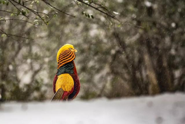 ��Щ��Ӱʦ�����������涯�Ҳ������������ʧ�ľ���