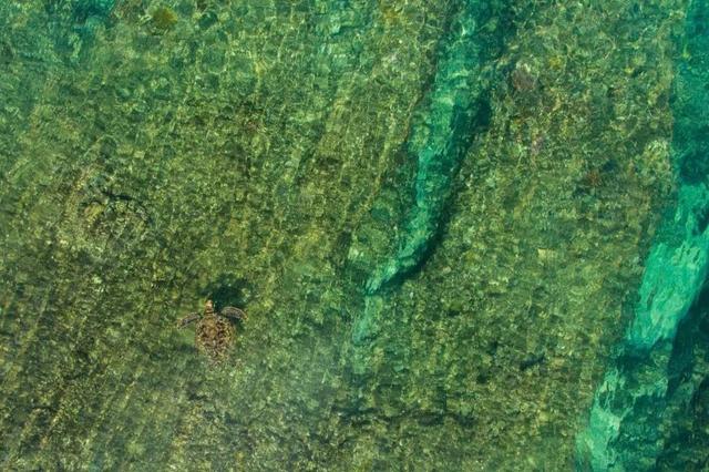 ��Щ��Ӱʦ�����������涯�Ҳ������������ʧ�ľ���