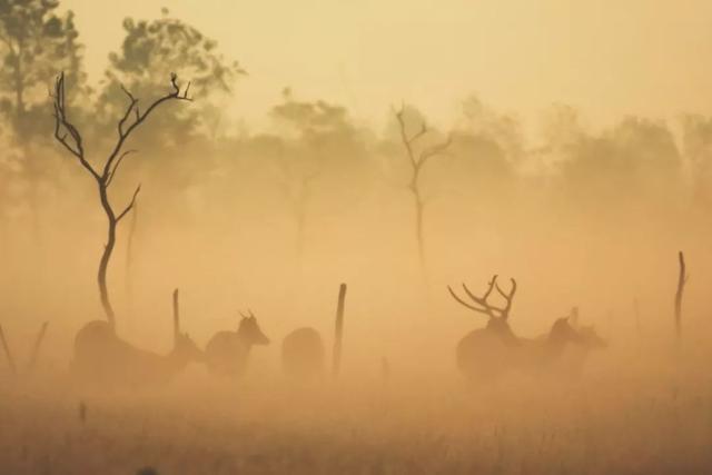 ��Щ��Ӱʦ�����������涯�Ҳ������������ʧ�ľ���