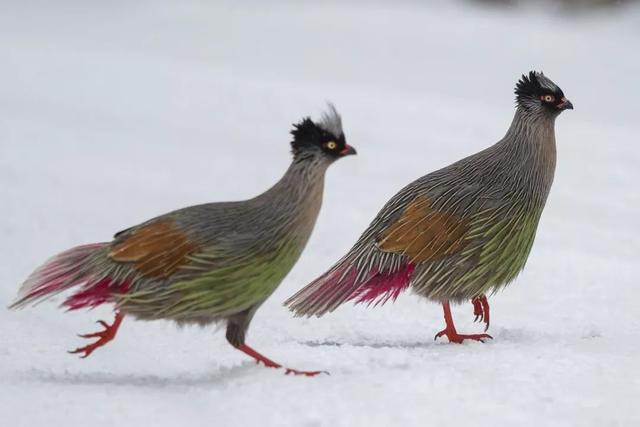 ��Щ��Ӱʦ�����������涯�Ҳ������������ʧ�ľ���