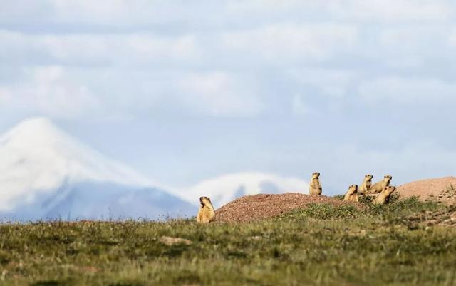 ��Щ��Ӱʦ�����������涯�Ҳ������������ʧ�ľ���