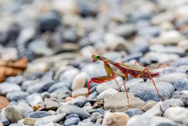 ��Щ��Ӱʦ�����������涯�Ҳ������������ʧ�ľ���