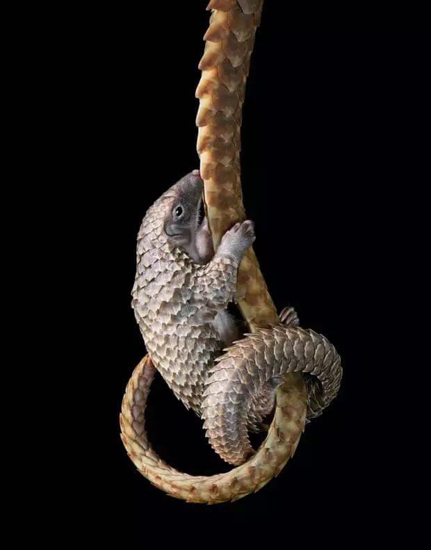 ��Щ��Ӱʦ�����������涯�Ҳ������������ʧ�ľ���