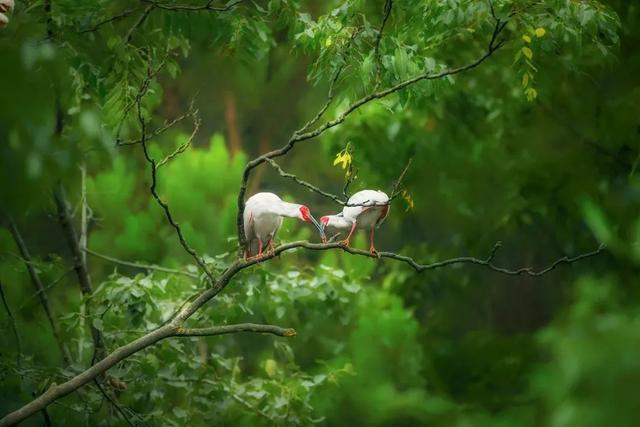 ��Щ��Ӱʦ�����������涯�Ҳ������������ʧ�ľ���