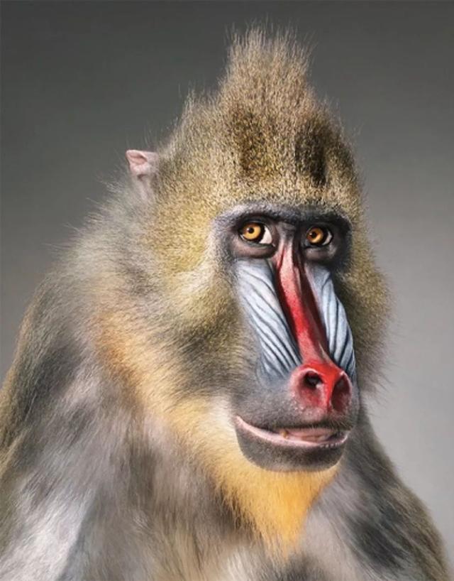 ��Щ��Ӱʦ�����������涯�Ҳ������������ʧ�ľ���