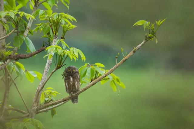 ��Щ��Ӱʦ�����������涯�Ҳ������������ʧ�ľ���