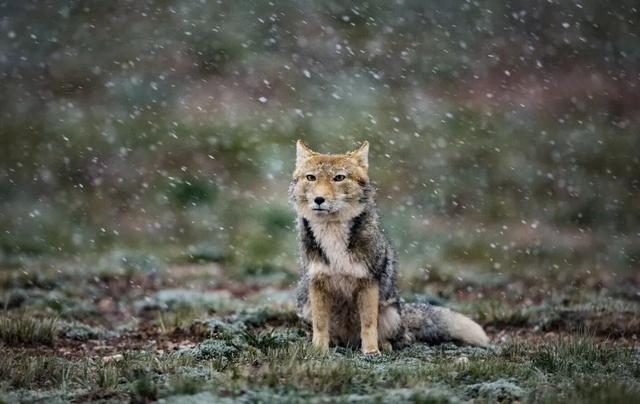 ��Щ��Ӱʦ�����������涯�Ҳ������������ʧ�ľ���