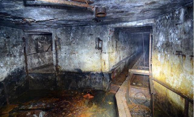 ���������ж�ǿ�����ӵ�����Щ�������������ǿ����ۺ�