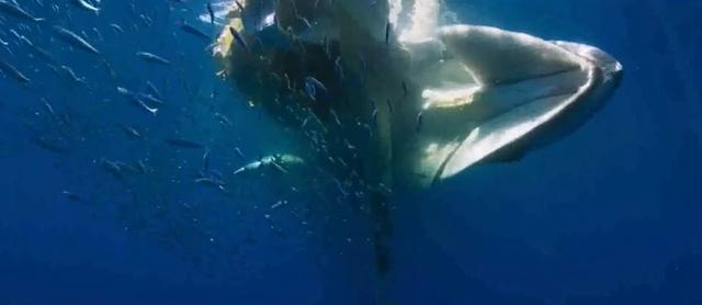 ����������������������