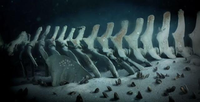 ����������������������