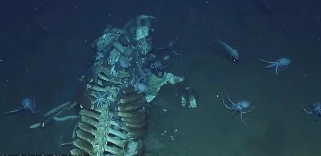 ����������������������