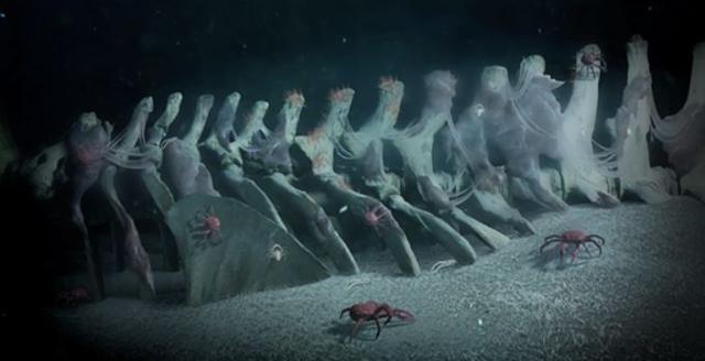 ����������������������