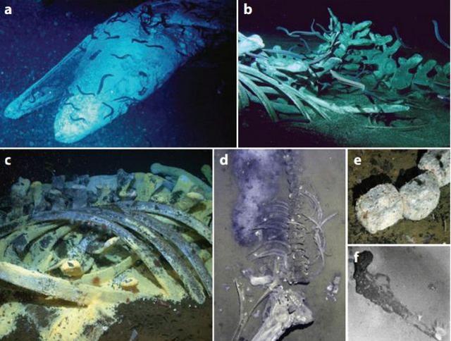 ����������������������