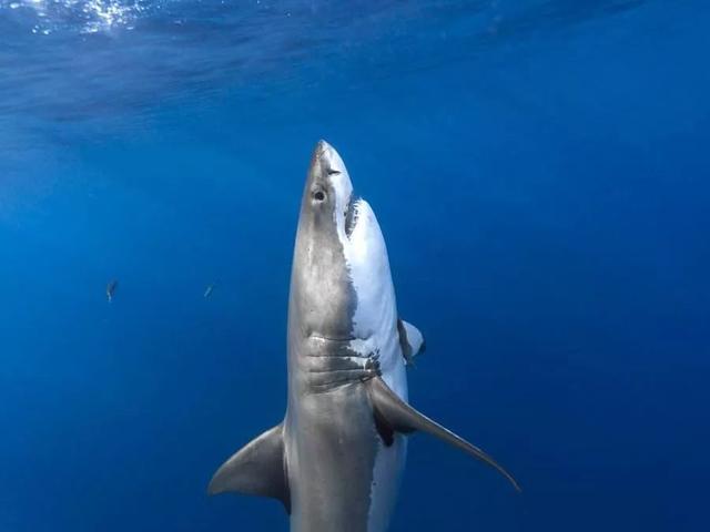 ����������������������