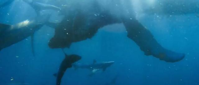 ����������������������