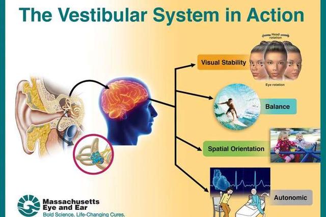 ���š����ȴ�����̩ɭ��ǿ�Ŀ�����������Ҳ���������Գ���֮ʹ