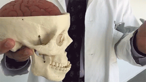 ���š����ȴ�����̩ɭ��ǿ�Ŀ�����������Ҳ���������Գ���֮ʹ