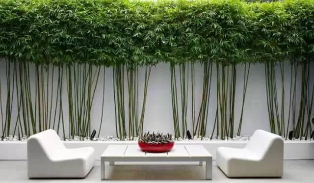 ����������˼�