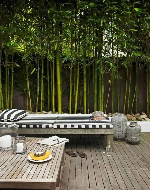 ����������˼�