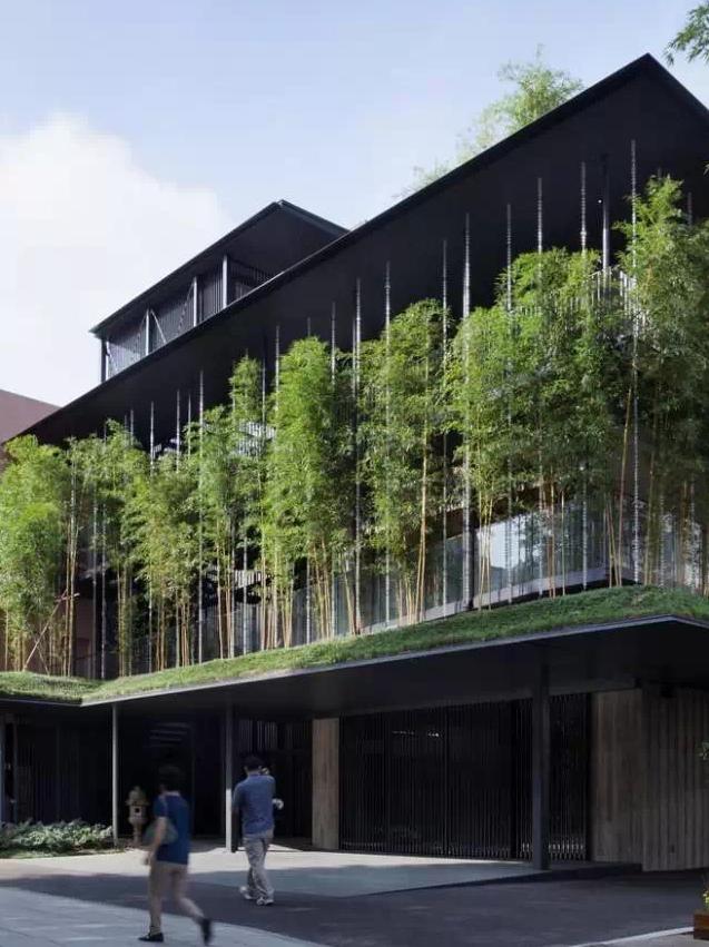 ����������˼�