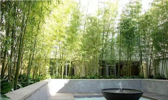 ����������˼�