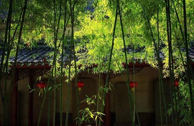 ����������˼�