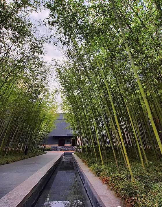 ����������˼�