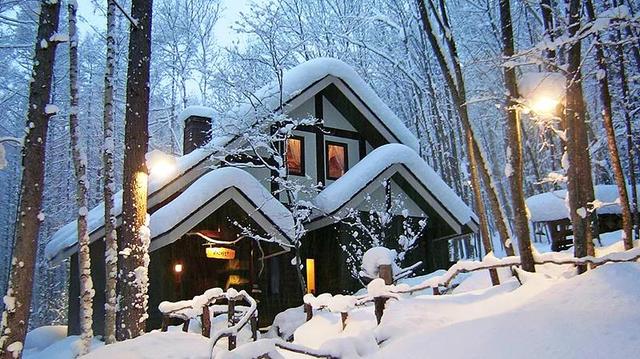 有一种冬天叫北海道,一池暖汤半壶清酒,看落雪纷飞
