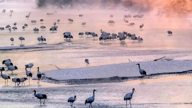 有一种冬天叫北海道,一池暖汤半壶清酒,看落雪纷飞