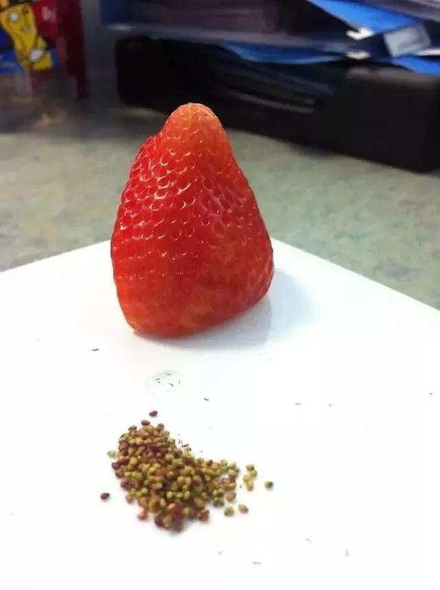 ʵ֤̫һܿµsi