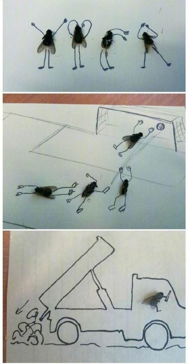 ʵ֤̫һܿµsi